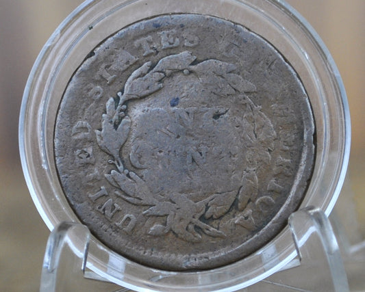 1839 Large Cent Silly Head - AG (About Good) Grade / Condition - 1839 Cent Rarer Variety, Silly Head - 1839 One Cent - Matron Head Modified 1835 to 1839