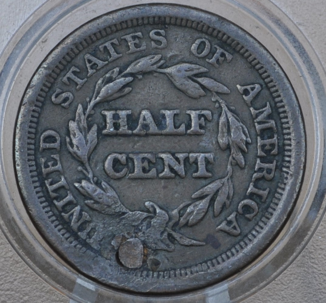 1851 Braided Hair Half Cent - VF Details, Plugged - Braided Hair Half Cent - 1851 Half Penny
