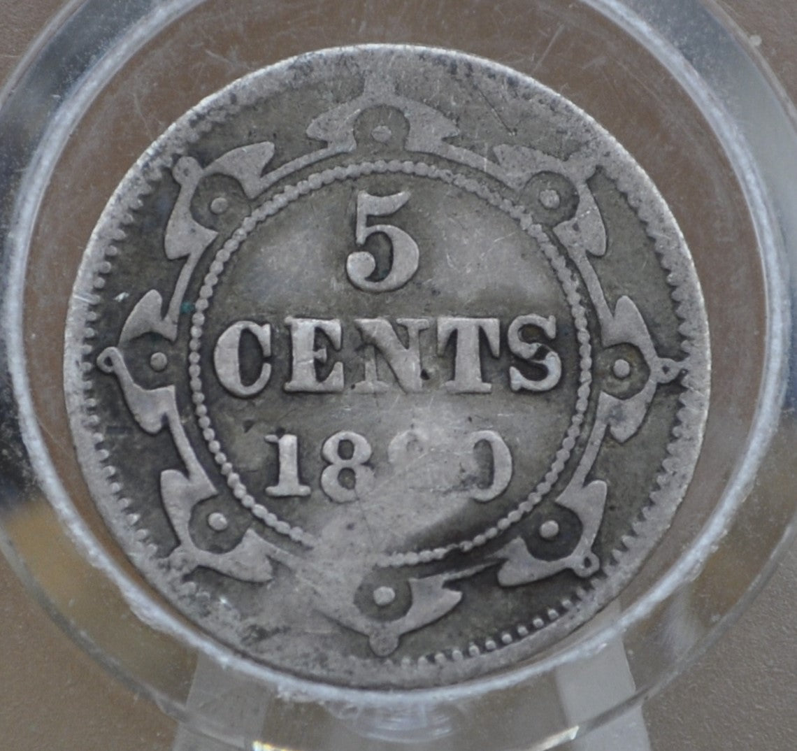 1890 Newfoundland Silver 5 Cent Coin - VG Details, Dented - Queen Victoria - 5 Cents Newfoundland 1890 Silver - Low Mintage