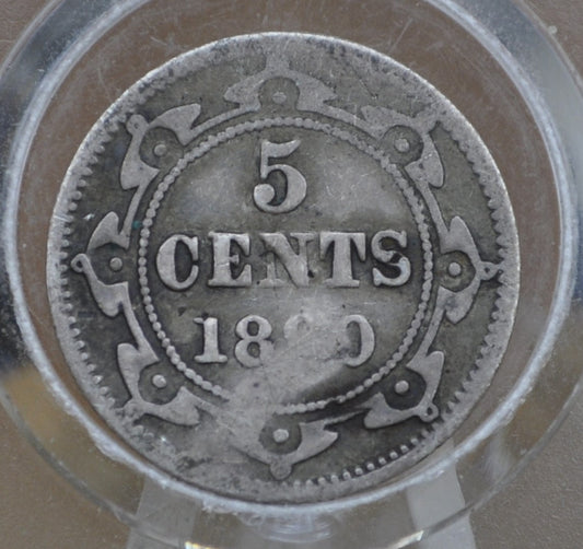 1890 Newfoundland Silver 5 Cent Coin - VG Details, Dented - Queen Victoria - 5 Cents Newfoundland 1890 Silver - Low Mintage