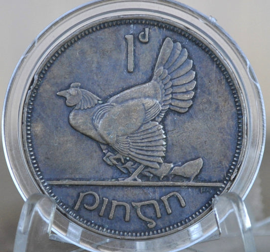 1935 Irish 1 Penny Coin - Great Condition - 1935 One Penny Coin UK - Hen with Chicks Design Irish Coins - Gaelic Writing
