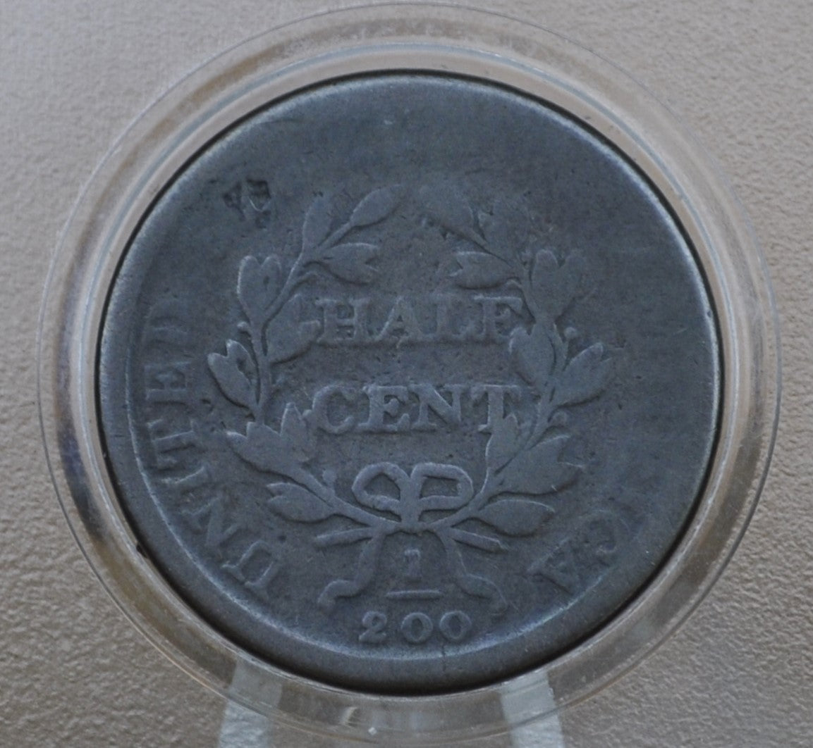 1808 Half Cent - G (Good) - 1808 Draped Bust Half Cent - Great Collection Addition