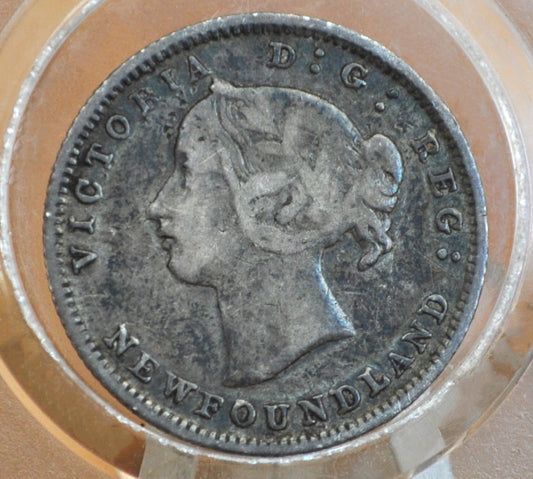 1880 Newfoundland Silver 5 Cent, Rare Coin, Only 40,000 minted - VF (Very Fine) Grade / Condition - Queen Victoria - 5 Cents Newfoundland 1880 Silver