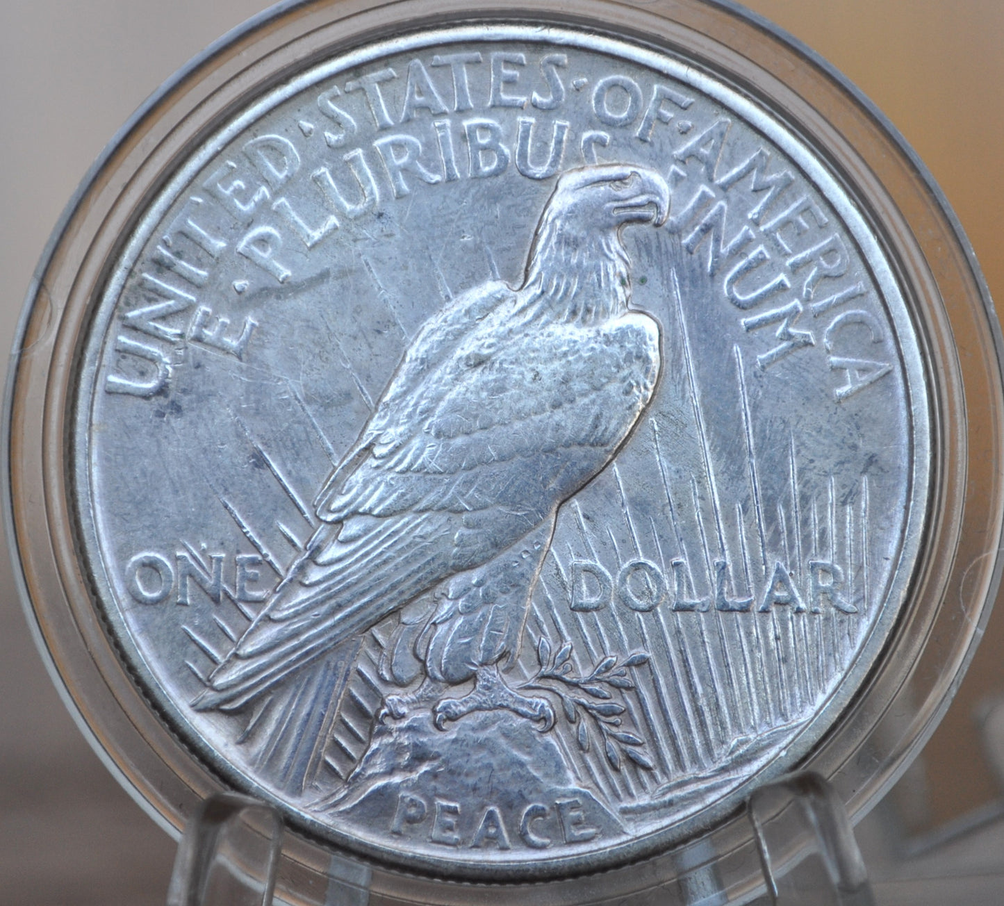 1921 Peace Silver Dollar - XF+ Detail, Cleaned - 1921 High Relief Peace Dollar Silver - Rarer Coin