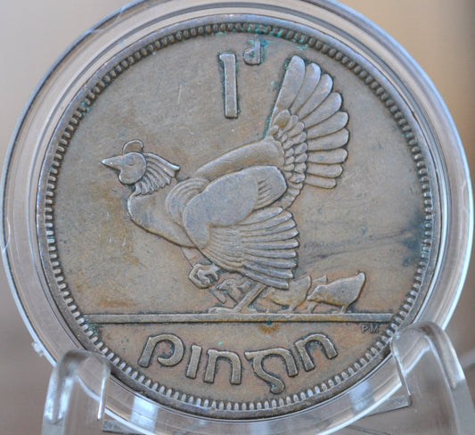 1941 Irish 1 Penny - Great Condition - 1941 One Cent Coin Ireland / UK - Hen with Chicks Design Irish Coins - Irish Coins