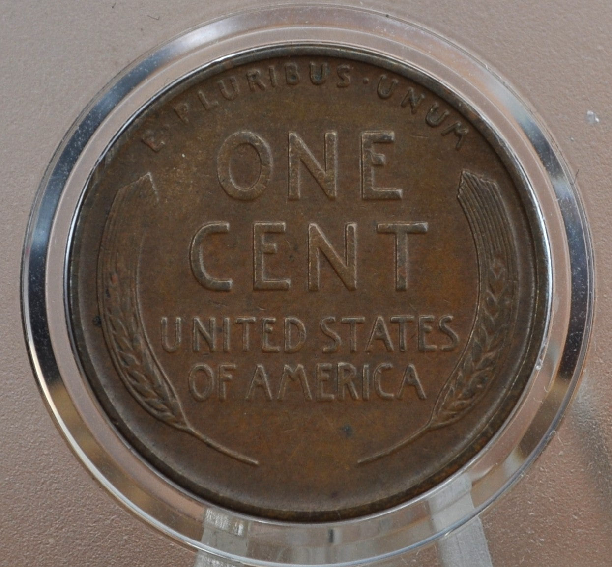 1931-S Wheat Penny - XF (Extremely Fine) Grade / Condition - San Francisco Mint - Key Date Wheat - 1931S Wheat Back Cent Wheat Ear 1931 S