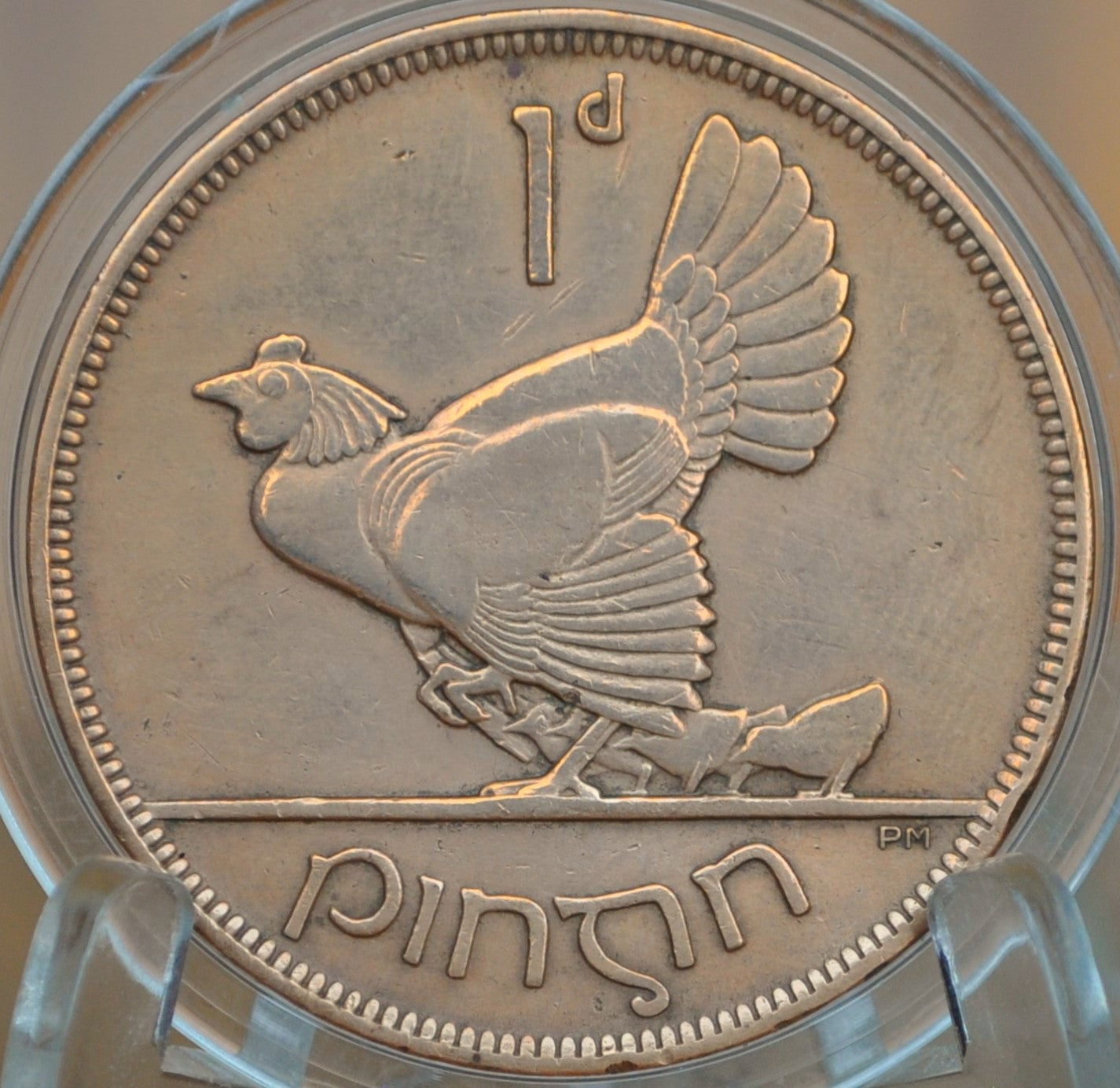 1931 Irish 1 Penny Coin - Great Condition - 1931 One Penny Coin UK - Hen with Chicks Design Irish Coins - Gaelic Writing