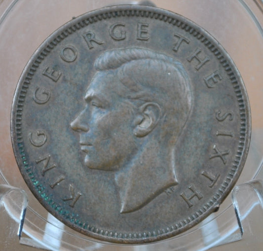 1951 New Zealand Half Penny - Great Condition / Detail - King George - Collectible New Zealand Coins - Great Design