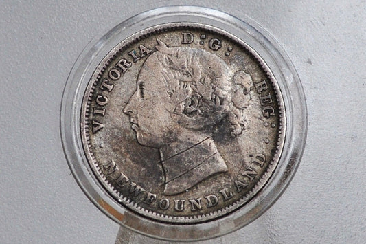 1882 Newfoundland 20 Cent Coin - VF Details, Scratched - Queen Victoria - Twenty Cents Newfoundland 1882