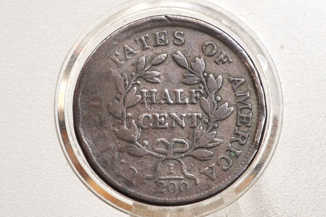 1804 Half Cent Plain 4 No Stems - VG+ Details - 1804 Draped Bust Half Cent 1804 Half Cent Stemless Regular 4 -Early American Coin