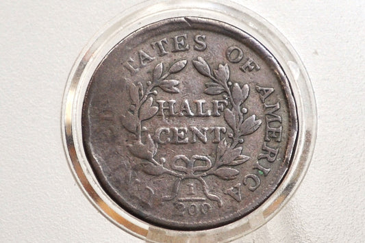 1804 Half Cent Plain 4 No Stems - VG+ Details - 1804 Draped Bust Half Cent 1804 Half Cent Stemless Regular 4 -Early American Coin