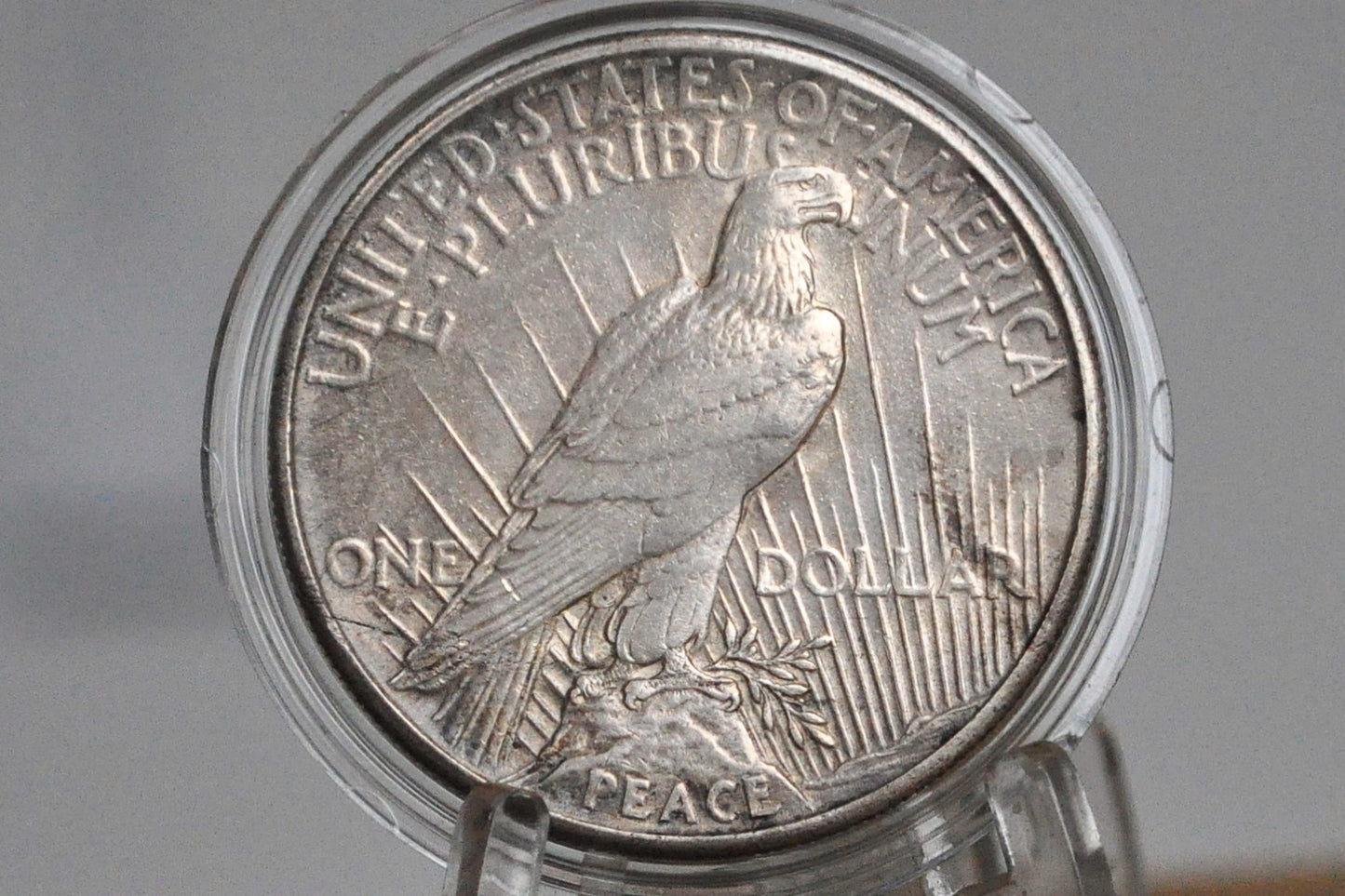 1921 Peace Silver Dollar - XF+ - 1921 High Relief Peace Dollar Silver - Rarer Coin, Nice Detail