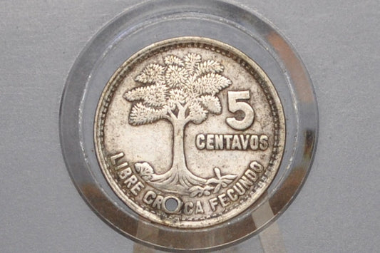 Rarer 1955 Silver Guatemala 5 Centavos - Great Condition, Holed - Republic of Guatemala Coin - Guatemala Quetzal