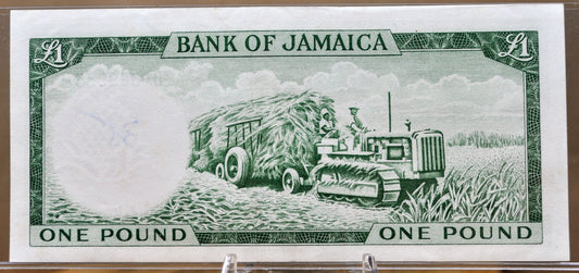 1964 Bank of Jamaica 1 Pound Banknote - Rarer Acting Governor Title - Queen Elizabeth II - 1964 British Jamaica One Pound Note - P#51Cc