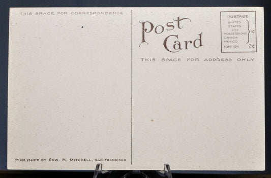 1910s Edward H. Mitchell California Poppies Illustration Postcard - Botanical Series, No. 1984 - Antique California Poppies Drawing Postcard