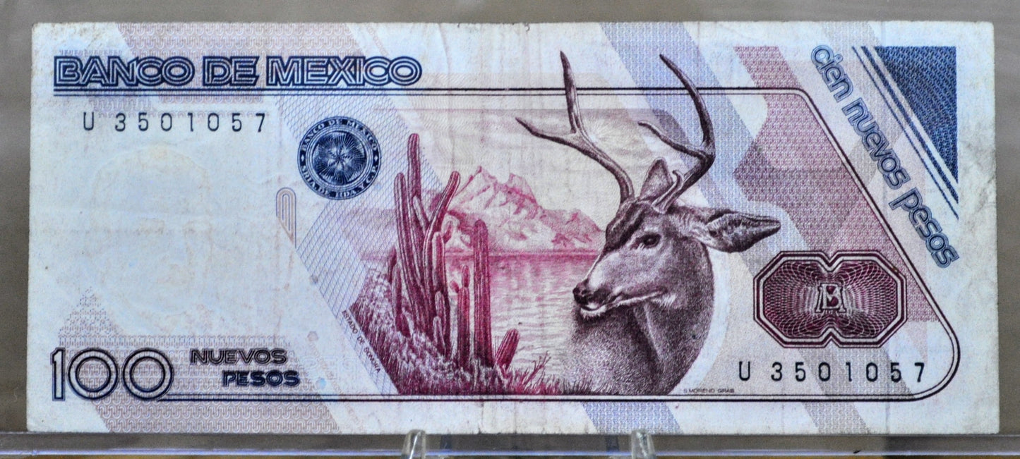 1992 Bank of Mexico 100 Nuevos Pesos Note - Rare Nuevos Pesos Note - 1992 Mexico One Hundred Nuevos Pesos Banknote - P#98