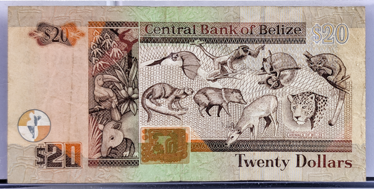 1997 Central Bank of Belize 20 Dollar Note - First Issue, High Denomination - 1997 British Belize Twenty Dollars Banknote - P#63a