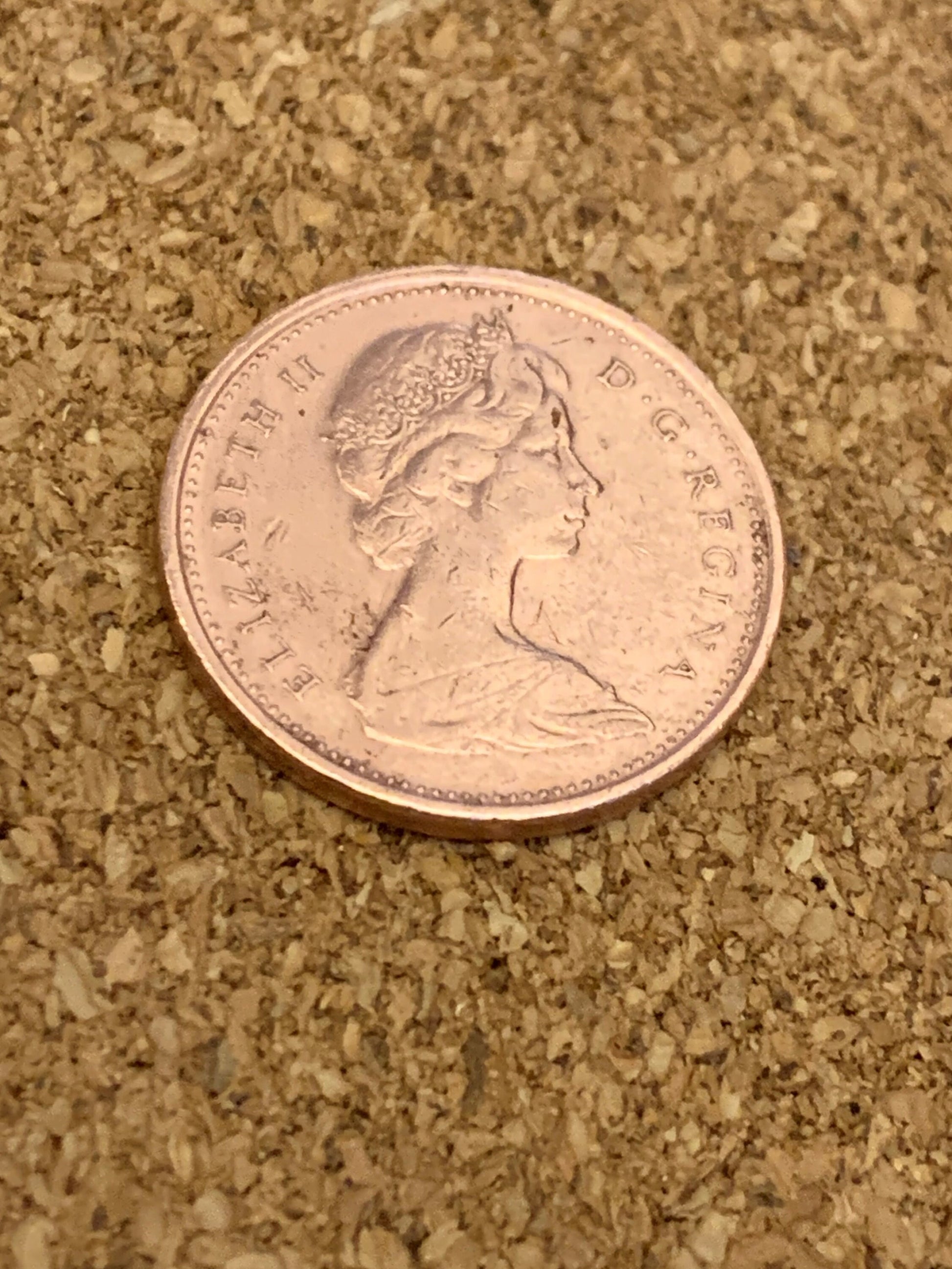 Canadian Pennies - Choose Date & Quantity - 1980 to 1989 - Excellent Condition - Canada