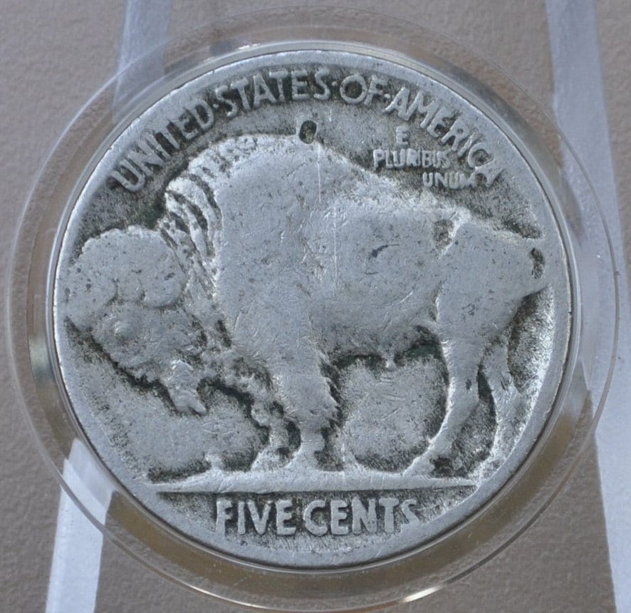 1917 Buffalo Nickel - Choose by Grade - 1917 P Indian Head Nickel 1917-P Buffalo Nickel 1917