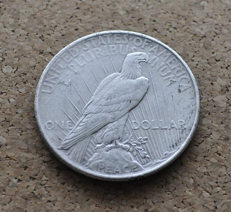 1925 Peace Silver Dollar - Choose by Grade, XF-BU (Extra Fine to Uncirculated) - Philadelphia Mint - 1925 P Peace Dollar 1925 Silver Dollar