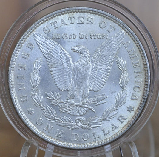 1880 Morgan Silver Dollar - Choose by Grade / Condition - Philadelphia Mint - 1880 No Mint Mark Silver Dollar 1880