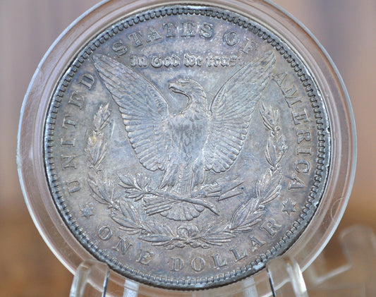 1904 Morgan Silver Dollar - MS63 (Choice Uncirculated), Beautifully Toned - 1904 Morgan Dollar - 1904 Silver Dollar - No Mint Mark - Better