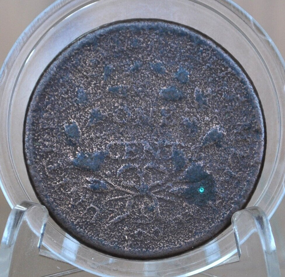 1794 - 1807 Cull Large Cent - Date Unknown - US Large Cent - 1794 - 1807 One Cent US - Cull / Date Not Legible