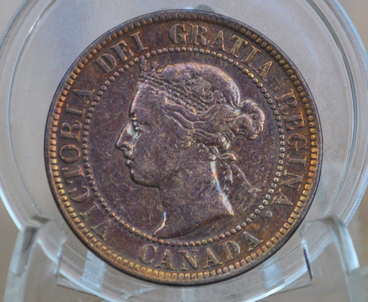 1899 Canadian One Cent - XF (Extremely Fine) Condition - Queen Victoria - One Cent Canada 1899 Large Cent - 1899 One Cent