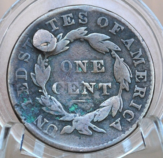 1829 Matron Head Large Cent Medium Letters - VG Details, Damaged - Low Priced Coin - 1829 Coronet Liberty Head Cent - Rarer Variety