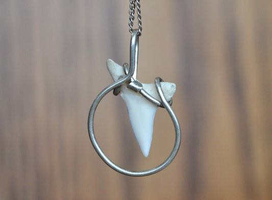 Shark Tooth Pendent set in Sterling Silver - Vintage Silver Necklace Pendent - Unique Piece, Lovely, Nautical Jewelry