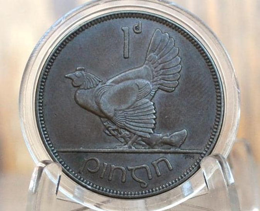 1928 Irish 1 Penny - VF/XF Grade / Condition - 1928 One Cent Ireland / UK - Hen with Chicks Design Irish Coins - Irish Coins