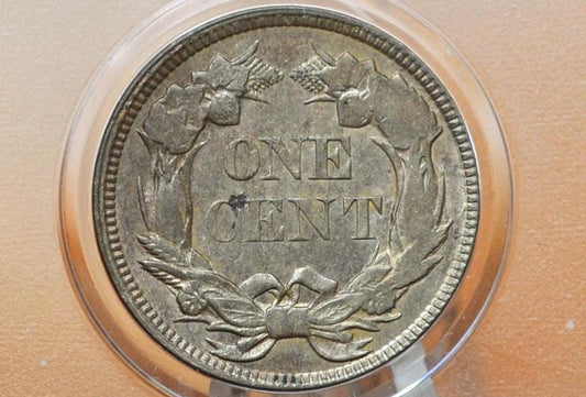 1857 Flying Eagle Penny - Choose by Grade / Condition - Great Date - Rare Penny Type - Two years of production - 1857 Cent - 1857 Penny