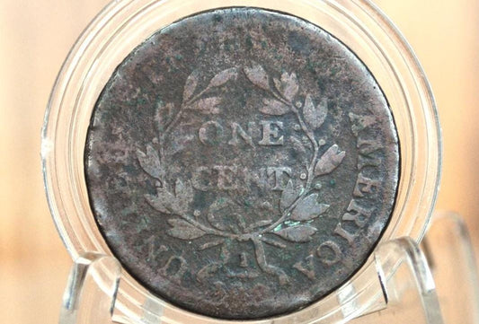 1802 Draped Bust Large Cent, With Stems - G+ Details, Clear Date - US Large Cent 1802 One Cent US Affordable