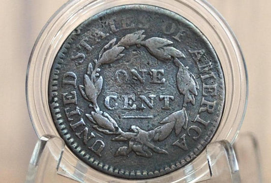 1816 Matron Head Large Cent - Choose by Condition / Grade - US Large Cent 1816 Coronet Liberty Head Cent - 1816 US Cent