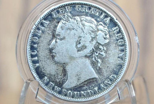 1900 Newfoundland 50 Cent Coin - VF (Very Fine) Grade / Condition - Only 150,000 made - Fifty Cents Newfoundland 1900 - Queen Victoria