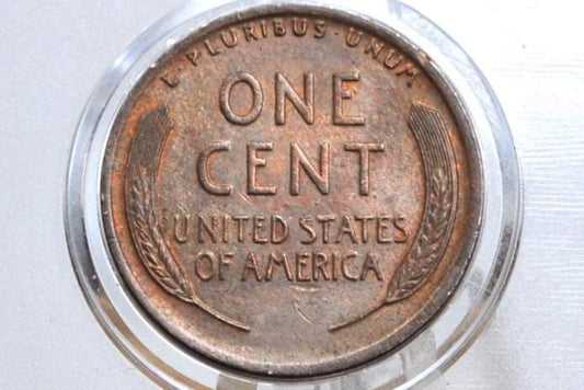 1916 Wheat Penny - Choose by Grade VG-XF (Very Good to Extremely Fine) - Philadelphia Mint - World War I Era Coin - 1916 wheat Ear Cent