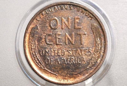 1909 VDB Wheat Penny - Choose by Grade - First Year Issue - Semi-Key Date - Rarer Wheat Penny - 1909 Vdb Lincoln Wheat Penny - G to AU