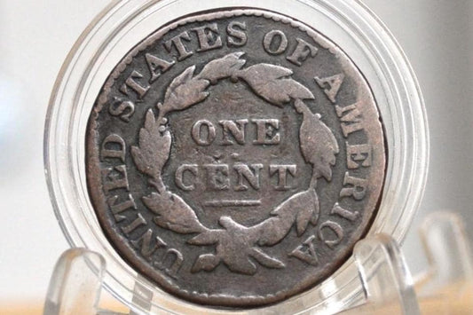 1831 Matron Head Large Cent Large Letter Variety - G (Good) Grade / Condition - 1831 Liberty Head Cent - 1831 US One Cent 1816 to 1835