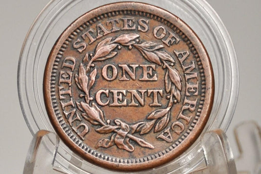 1855 Braided Hair Large Cent - Choose by Grade / Condition - 1855 Coronet Cent - 1855 US Large Cent - Braided Hair Upright 5