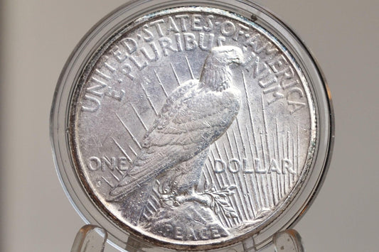 1925-S Peace Silver Dollar - Choose by Grade, VF-XF (Very to Extremely Fine) - San Francisco Mint - 1925 S Peace Dollar 1925 Silver Dollar