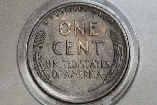 1910-S Wheat Penny - Choose by Grade - 1910 S Wheat Ear Cent - San Francisco Mint - Semi-Key Date