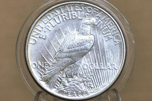 1921 Peace Silver Dollar - MS63 (Uncirculated) Grade / Condition 1921 High Relief Peace Dollar Silver - Very High Grade, Rare