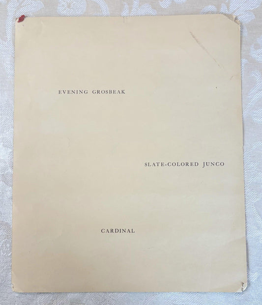 Walter A. Weber Vintage Bird Print 1933 Evening Grosbeak, Slate-Colored Junco, and Cardinal - Vintage Walter Weber Art Print: Grosbeak, Junc