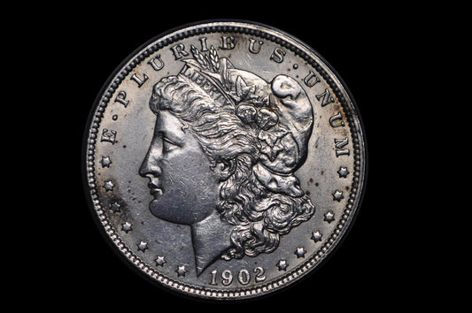 1902 Morgan Silver Dollar - Choose by Grade / Condition - 1902-P Morgan Dollar - 1902 Silver Dollar - No Mint Mark