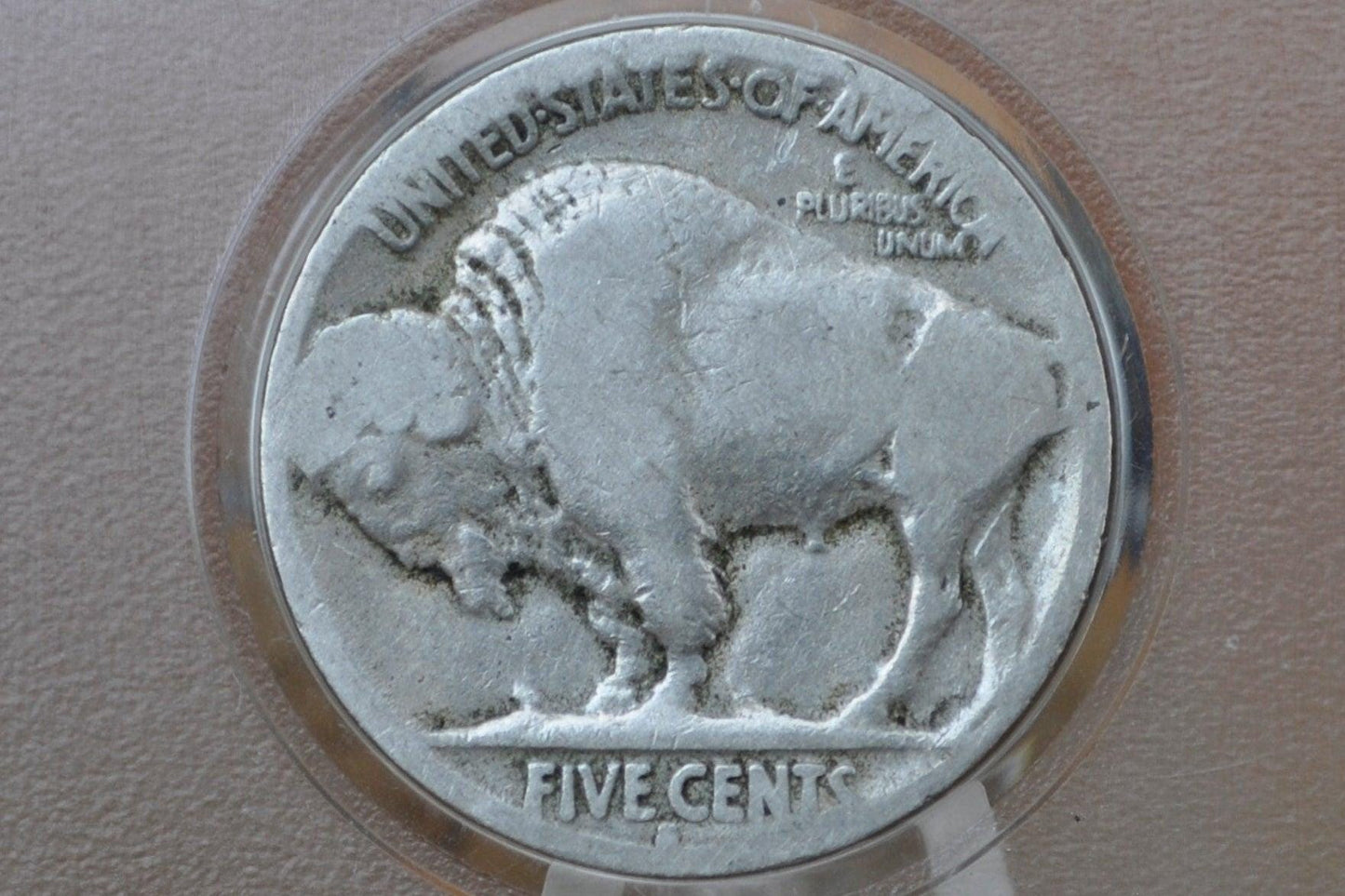 A silver US five-cent coin featuring a buffalo design, displayed inside a clear plastic protective capsule on a small stand.