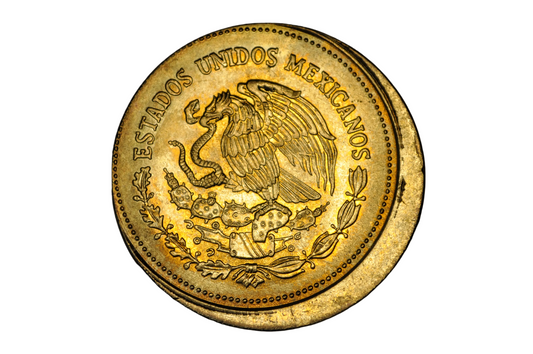 1989 Mexico 1000 Pesos Juana de Asbaje Rare 15% Off-Center Strike Mint Error - 1989 Mexican 1000 Pesos Error Coin 15% Off-Center Strike