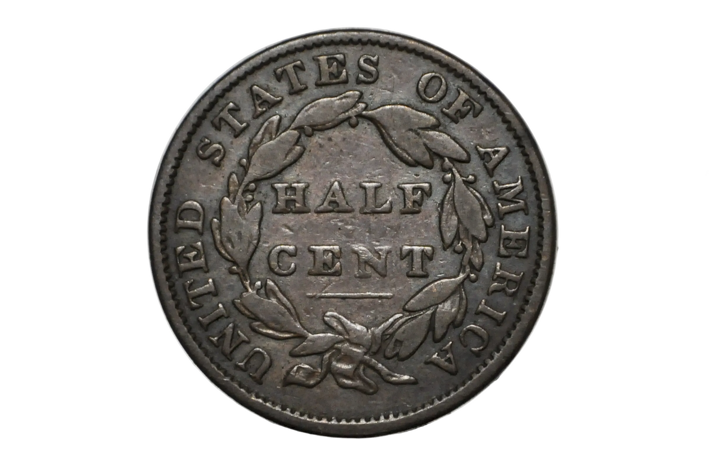 A vintage United States half cent coin with a dark metallic finish, displayed inside a clear plastic protective capsule on a white background.