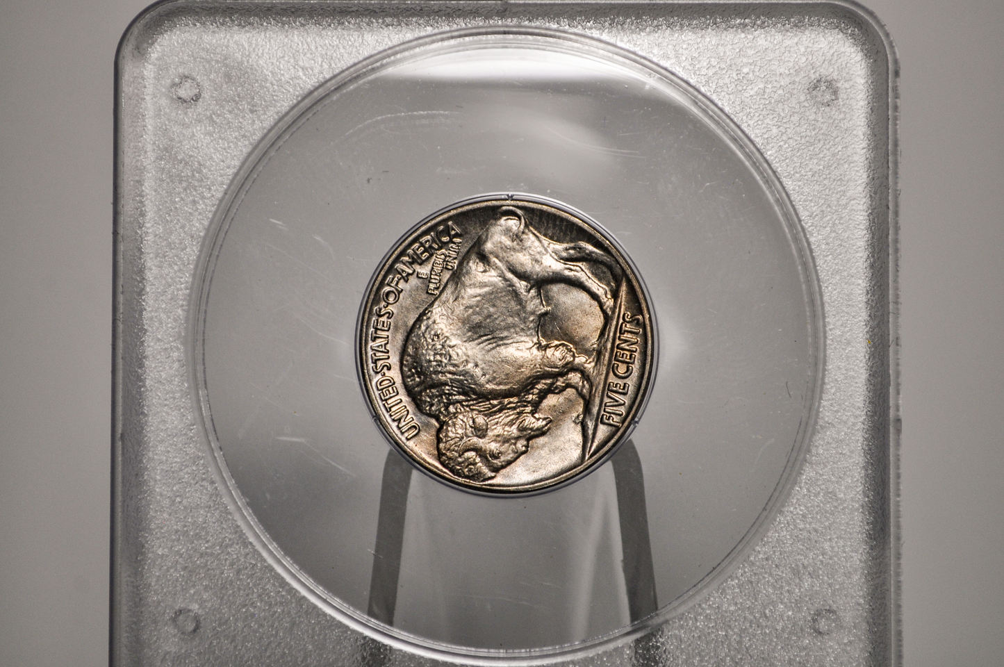 PCGS Rattler 1936 Buffalo Nickel MS65 - 1980's PCGS Holder - 1936 Nickel PCGS Certified