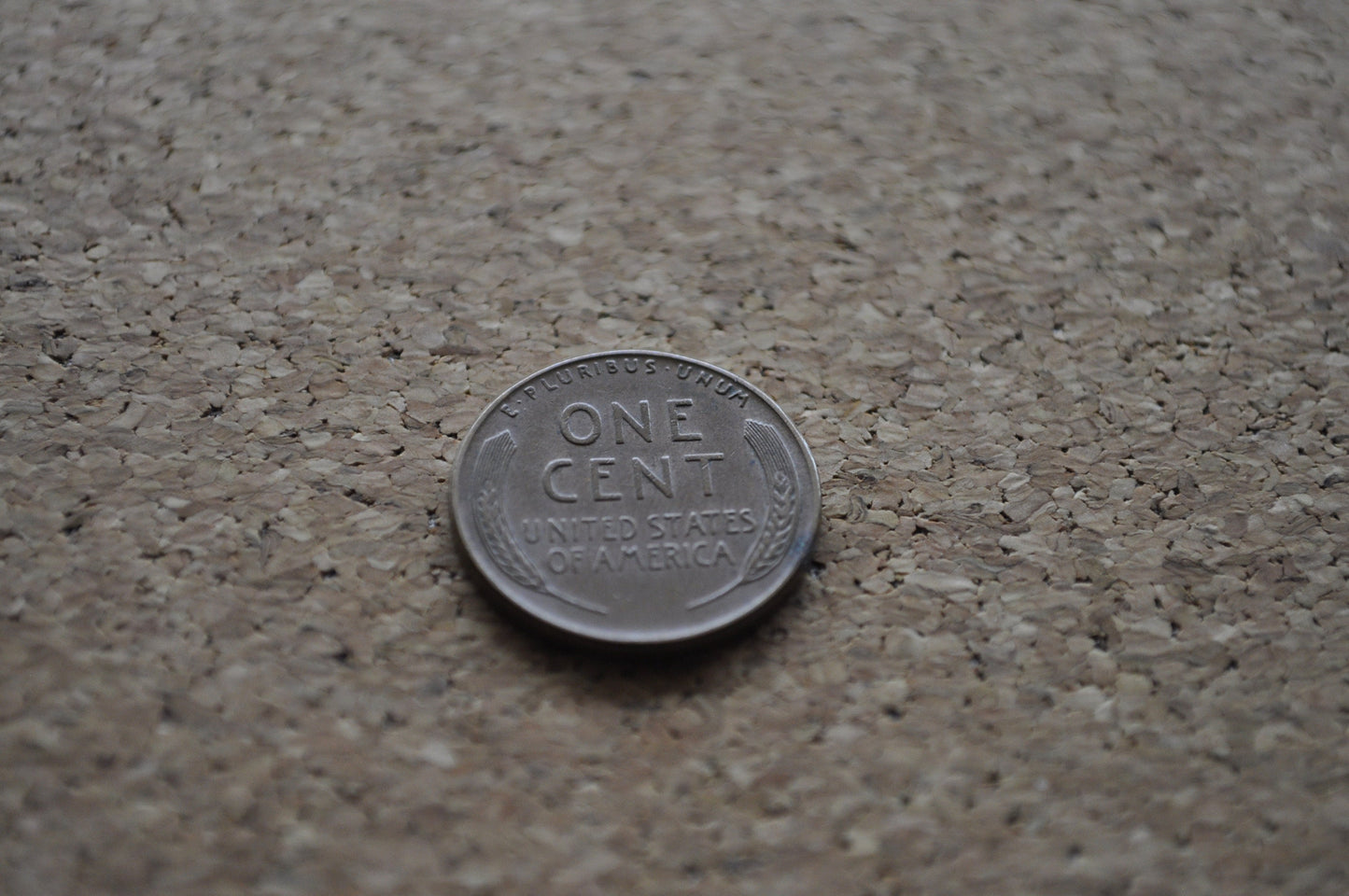 1955 Wheat Penny - 66th Anniversary - Collectible Coin