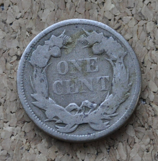 1857 Flying Eagle Penny - Great Date - Rare Penny Type - Two years of production - 1857 Cent - 1857 Penny